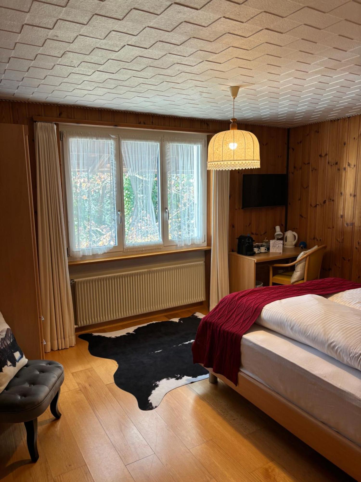 Hotel Alpina 3*