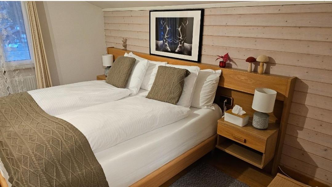 Hotel Alpina 3*